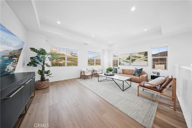 living room with light hardwood / wood-style floors and a raised ceiling