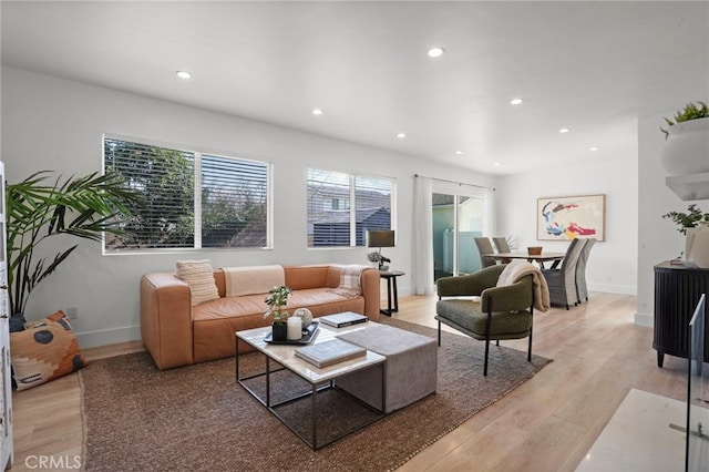 living room with light hardwood / wood-style flooring