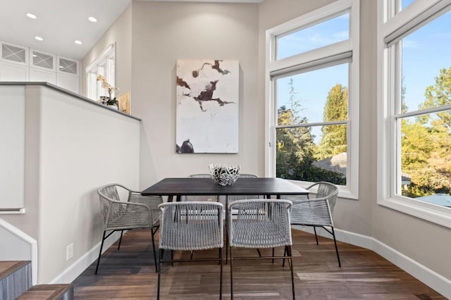 dining room with plenty of natural light and dark wood-type flooring