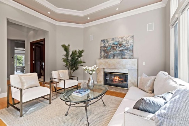 living room with a fireplace, ornamental molding, a tray ceiling, and light hardwood / wood-style flooring