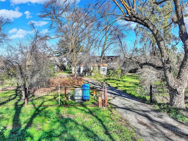 surrounding community featuring a yard