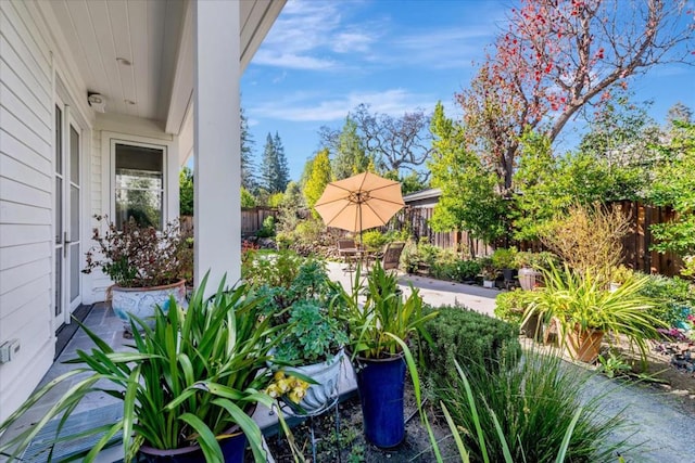 view of yard featuring a patio area