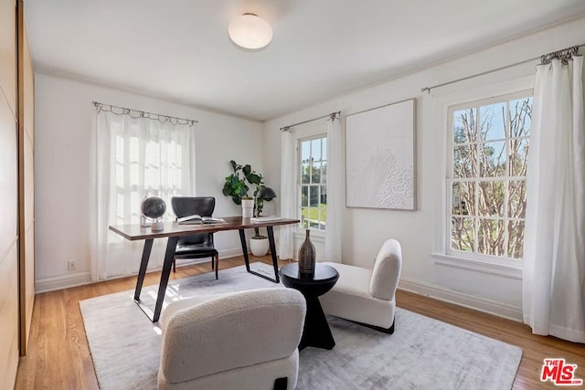 office with light hardwood / wood-style flooring