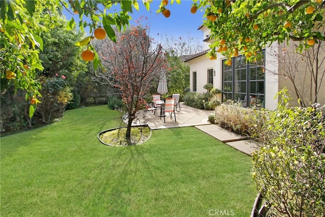 view of yard featuring a patio