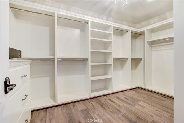 spacious closet featuring light hardwood / wood-style floors