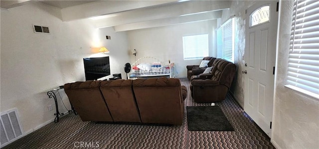 living room featuring dark colored carpet, a healthy amount of sunlight, and beam ceiling