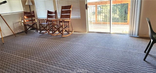 interior space featuring carpet floors