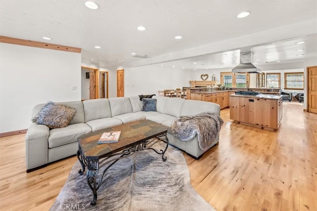 living room with light wood-type flooring