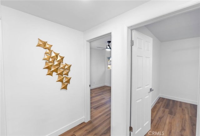 corridor featuring dark hardwood / wood-style floors