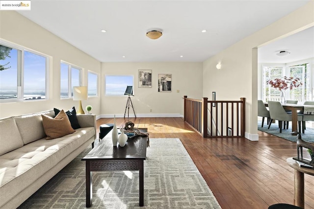 living room with dark hardwood / wood-style floors