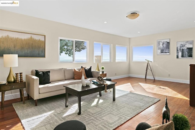 living room featuring hardwood / wood-style floors