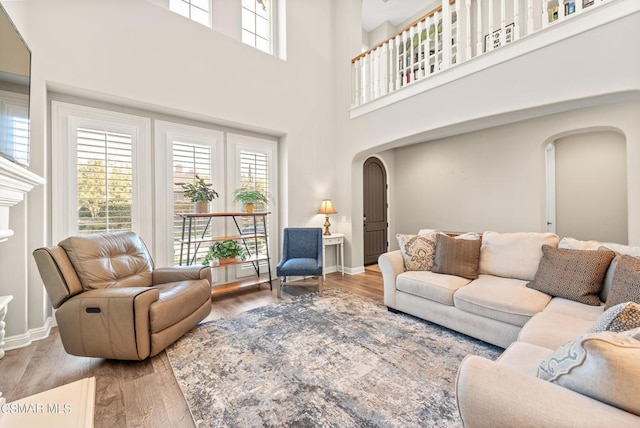 living room featuring a high ceiling and wood-type flooring