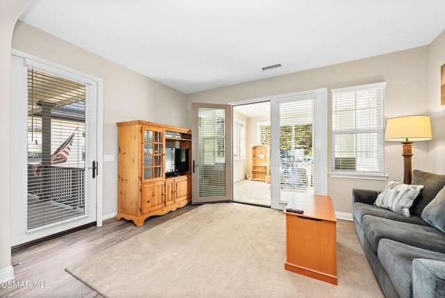 living room featuring hardwood / wood-style flooring