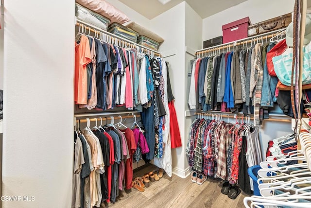 walk in closet with wood-type flooring