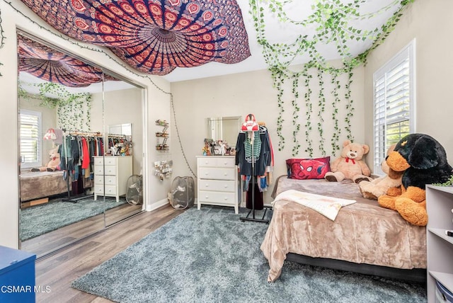 bedroom with multiple windows, wood-type flooring, and a closet