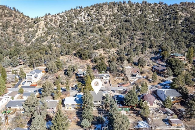 1135 Rivera Dr, Wrightwood, CA 92397 - photo 31