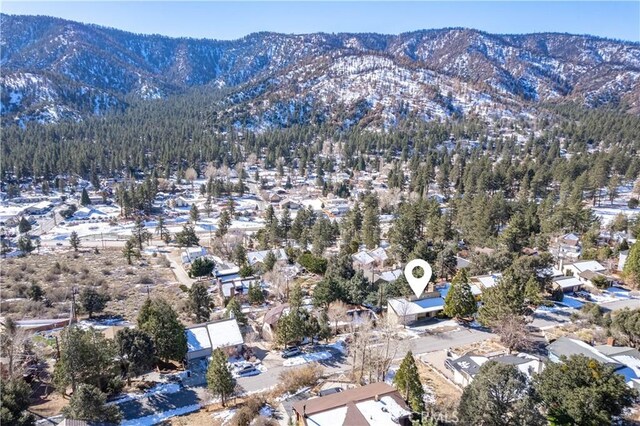 1135 Rivera Dr, Wrightwood, CA 92397 - photo 32