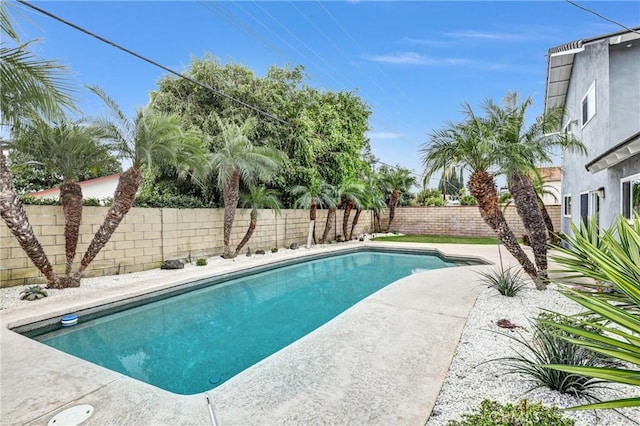 view of swimming pool featuring a fenced backyard and a fenced in pool