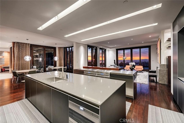 kitchen with a large island, sink, dark hardwood / wood-style floors, and a skylight