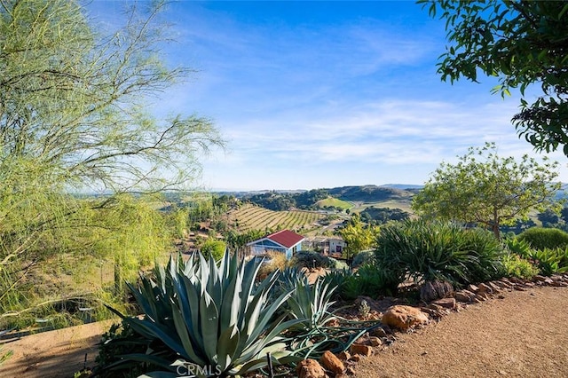 view of yard with a rural view