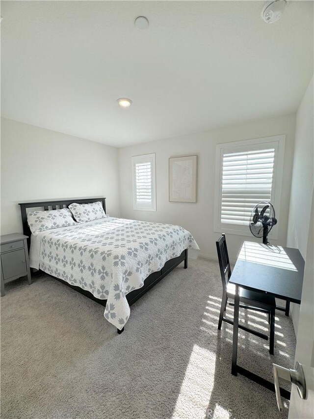 carpeted bedroom with multiple windows