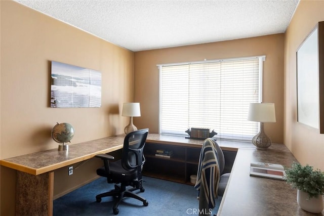 carpeted office with a wealth of natural light and a textured ceiling