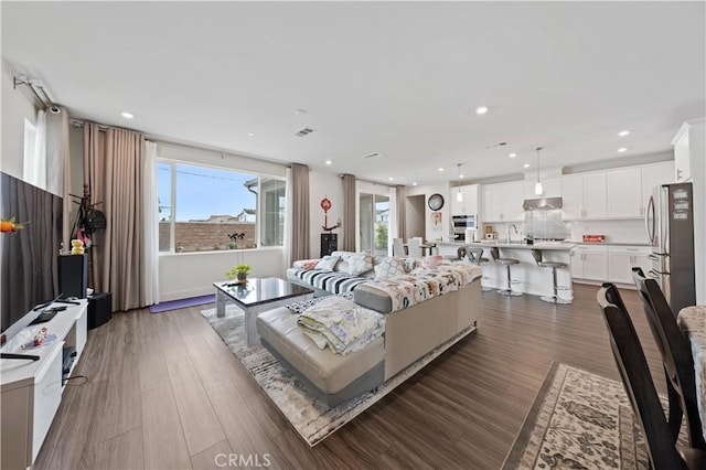 living room with dark hardwood / wood-style flooring and sink