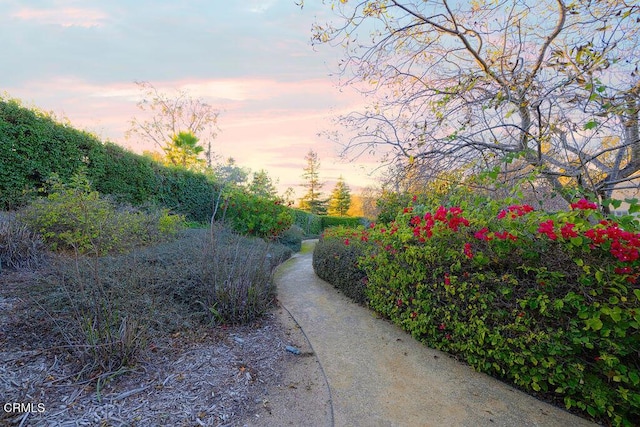 view of yard at dusk