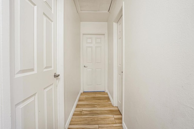 view of hallway