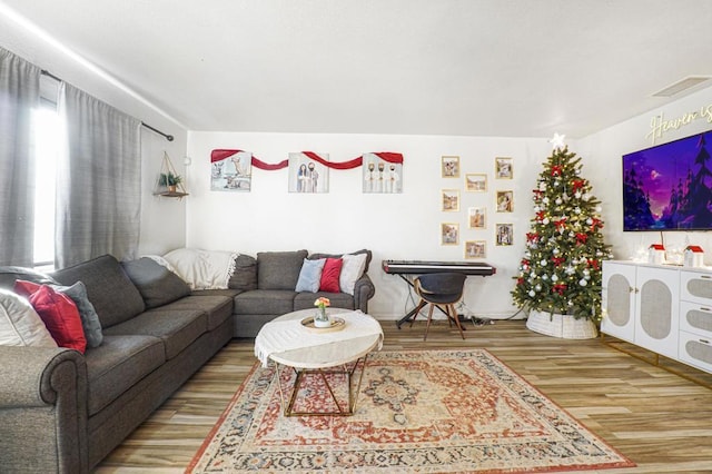 living room featuring wood-type flooring