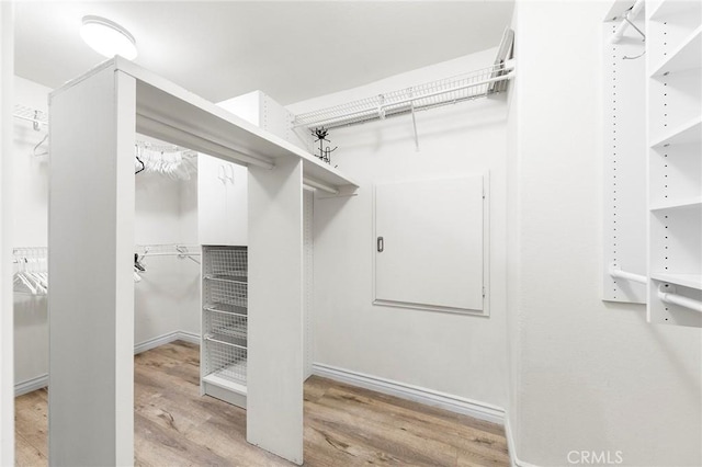 spacious closet featuring light hardwood / wood-style floors