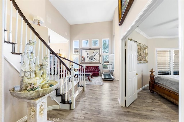 entryway featuring ornamental molding and wood-type flooring