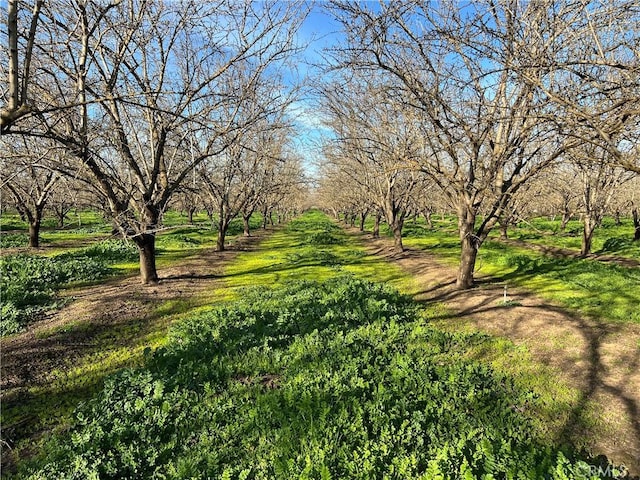 1524 Muir Ave, Chico, CA 95973 - photo 25