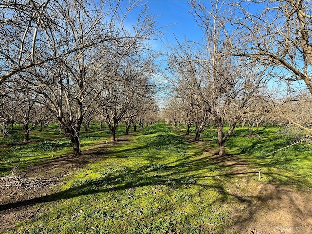 1524 Muir Ave, Chico, CA 95973 - photo 24