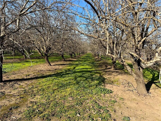 1524 Muir Ave, Chico, CA 95973 - photo 18