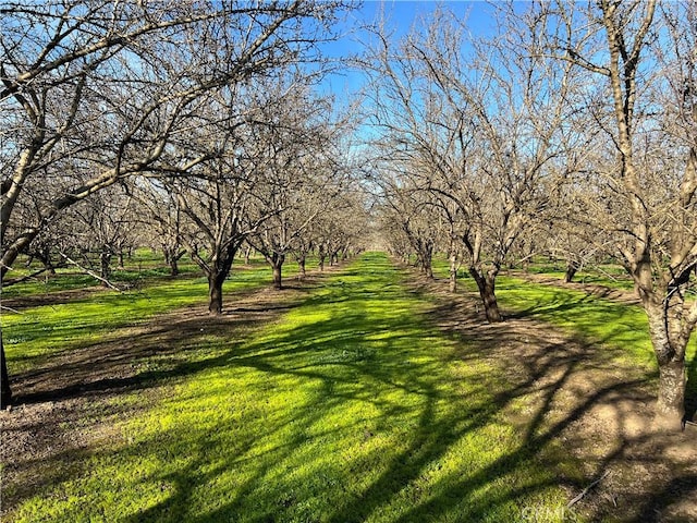 1524 Muir Ave, Chico, CA 95973 - photo 19