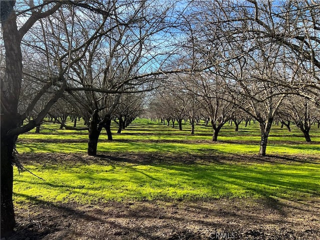 view of community featuring a yard