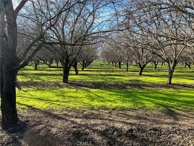 view of home's community featuring a yard