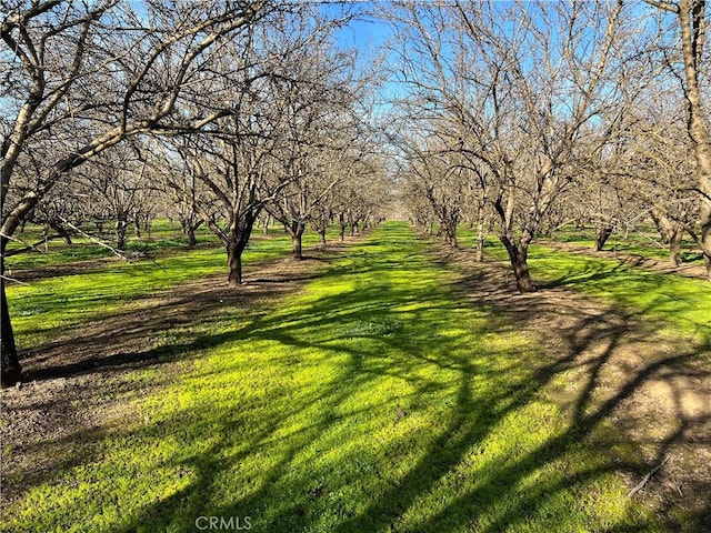 1524 Muir Ave, Chico, CA 95973 - photo 22