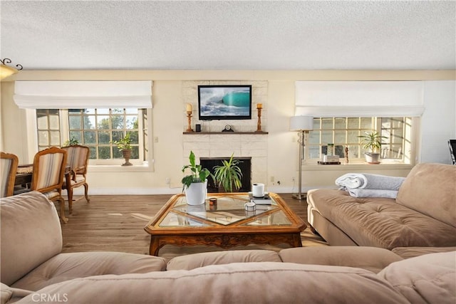 living room featuring a textured ceiling and wood-type flooring