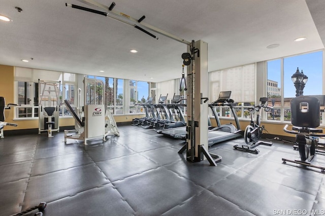 exercise room featuring plenty of natural light