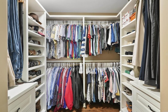 view of walk in closet