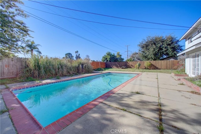 view of swimming pool featuring a patio