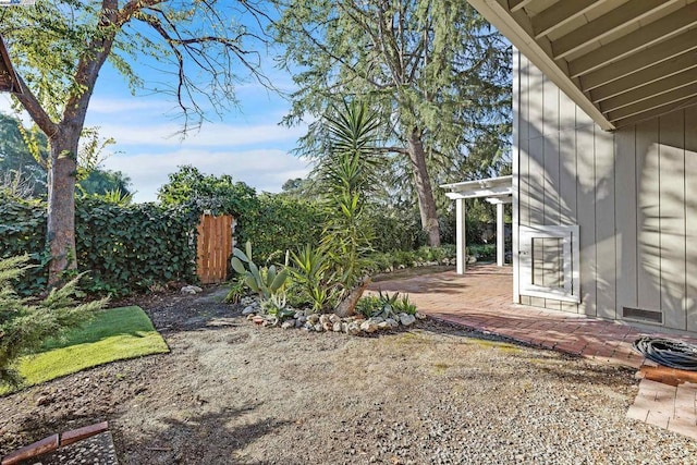 view of yard featuring a patio area