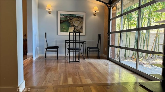 interior space featuring wood-type flooring and a healthy amount of sunlight