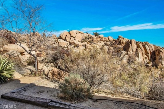 view of mountain feature