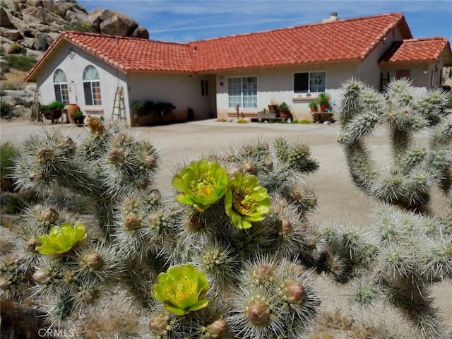 back of house with a patio area