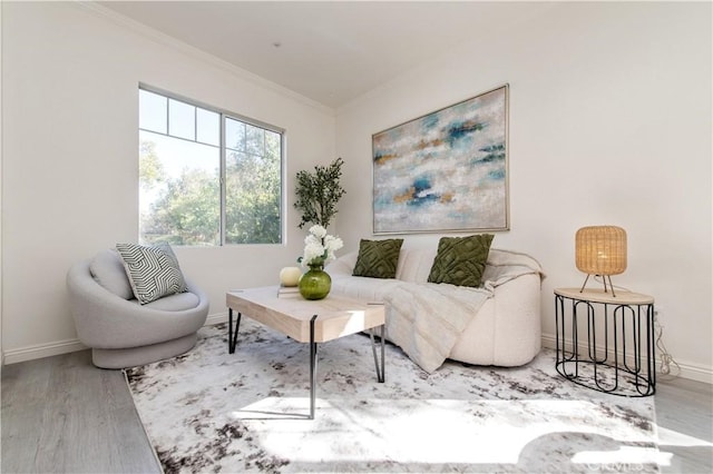 living area featuring wood-type flooring and ornamental molding