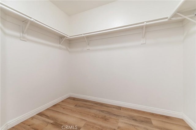 walk in closet with wood-type flooring