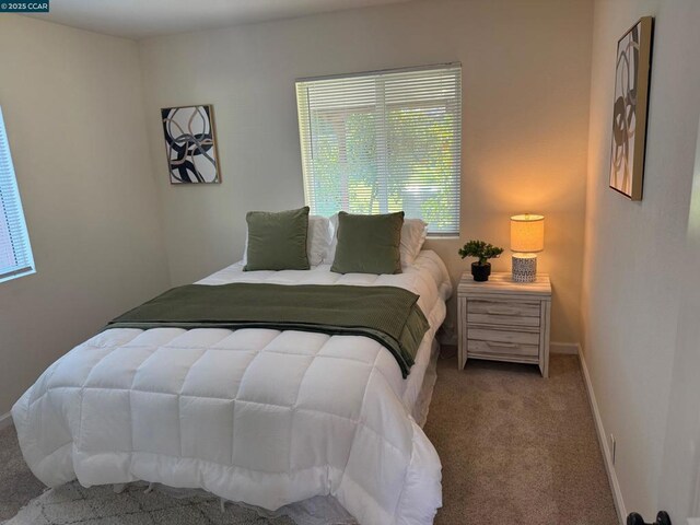 bedroom featuring carpet